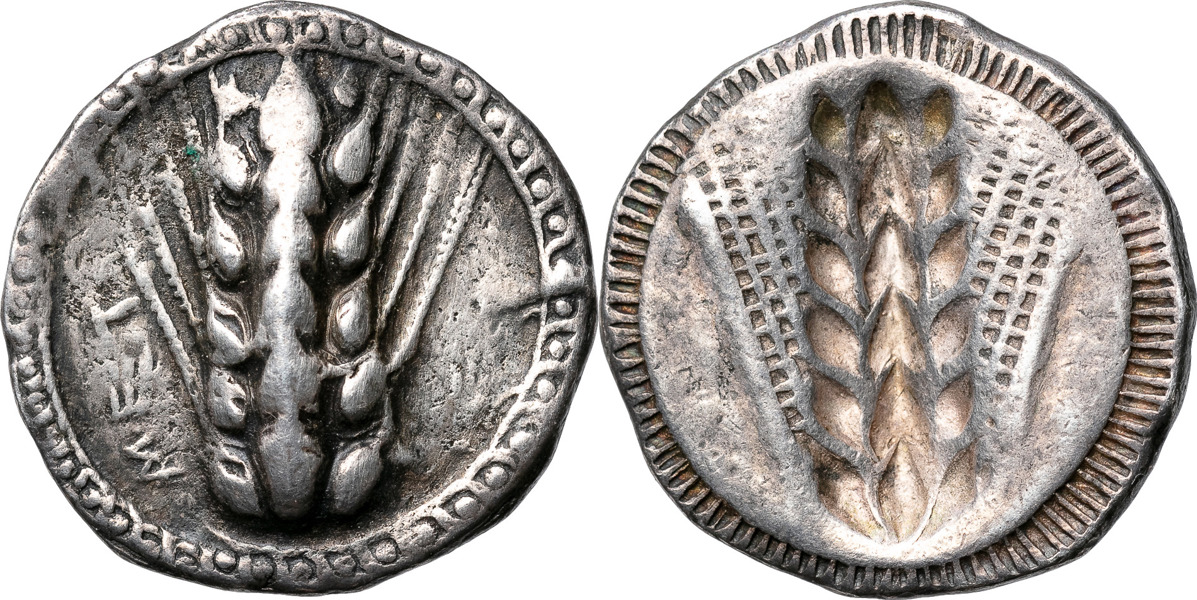 GREKISKA MYNT / GREEK COINS. ITALY. LUCANIA. METAPONTION (530-510 B.C.). AR stater