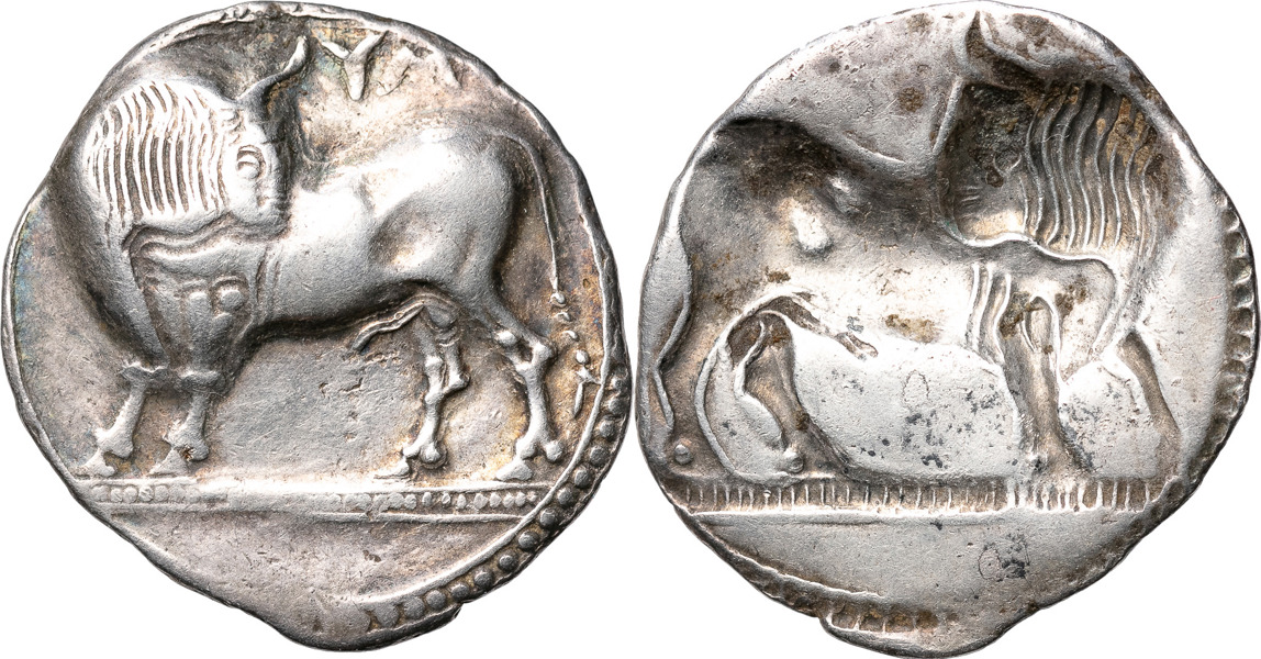 GREKISKA MYNT / GREEK COINS. ITALY. LUCANIA. SYBARIS ca. 720 B.C.). AR stater