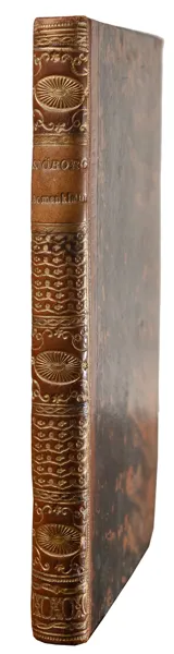 Sjöborg, Nils Henric: Försök till en nomenklatur för nordiska fornlemningar