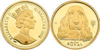 GIBRALTAR. Cocker Spaniel issue